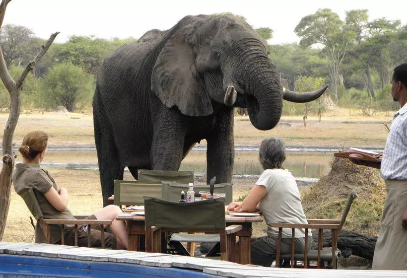 هتل The Hide Safari Camp