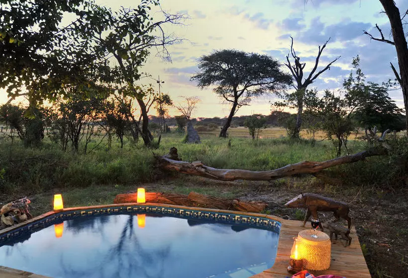 هتل The Hide Safari Camp