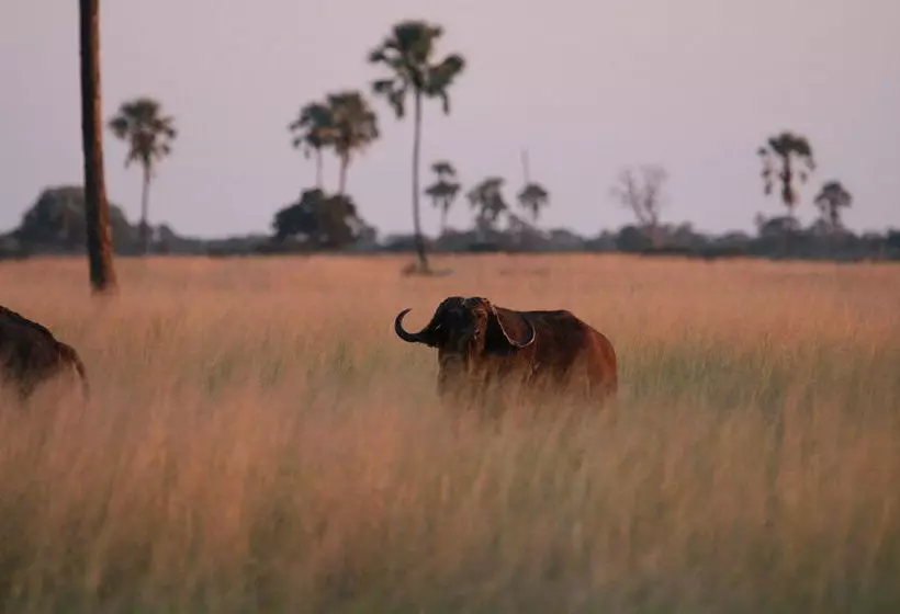 هتل The Hide Safari Camp