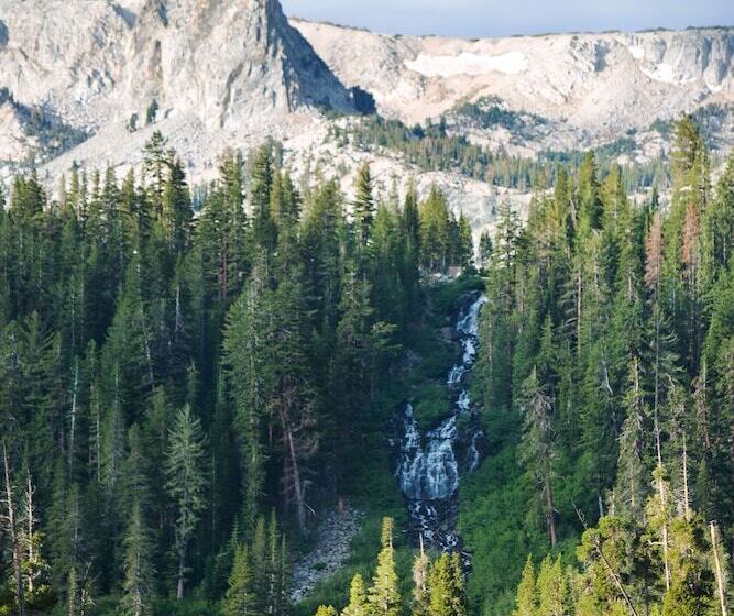 استراحتگاه Tamarack Lodge