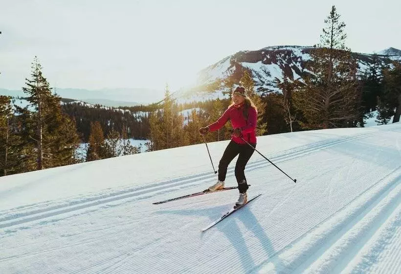 渡假胜地 Tamarack Lodge
