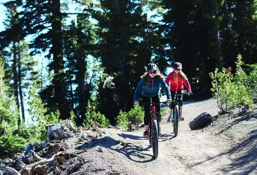 渡假胜地 Tamarack Lodge