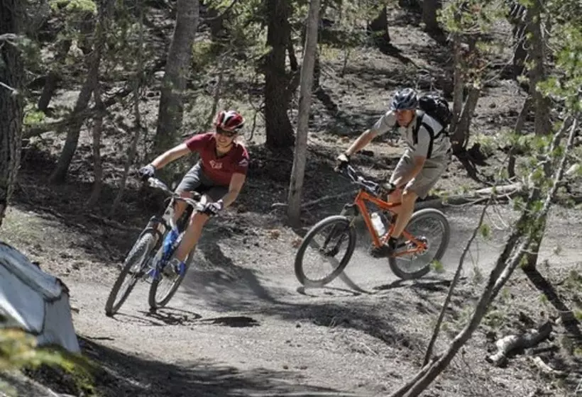 渡假胜地 Tamarack Lodge