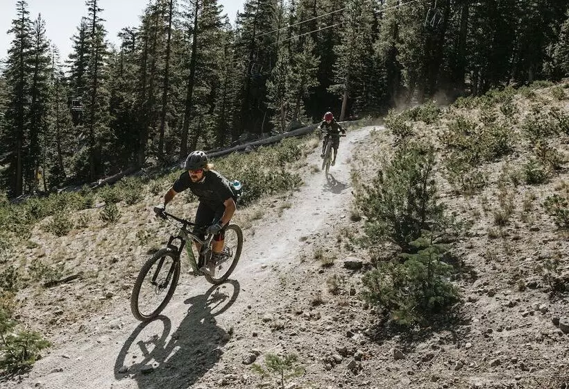 渡假胜地 Tamarack Lodge