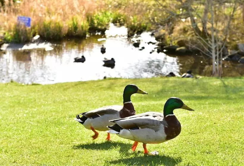 호텔 Moness Resort