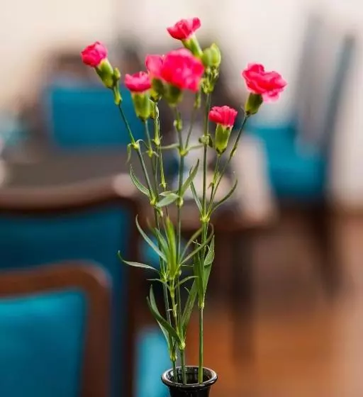 Отель President