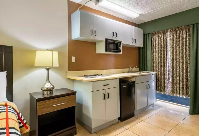 酒店 Rodeway Inn Clearwaterdunedin