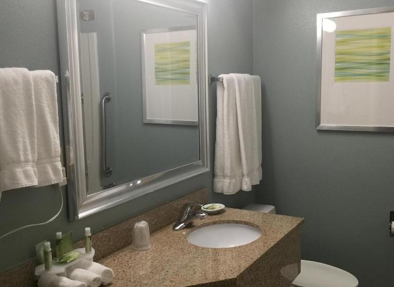 호텔 Baymont Inn & Suites Braselton