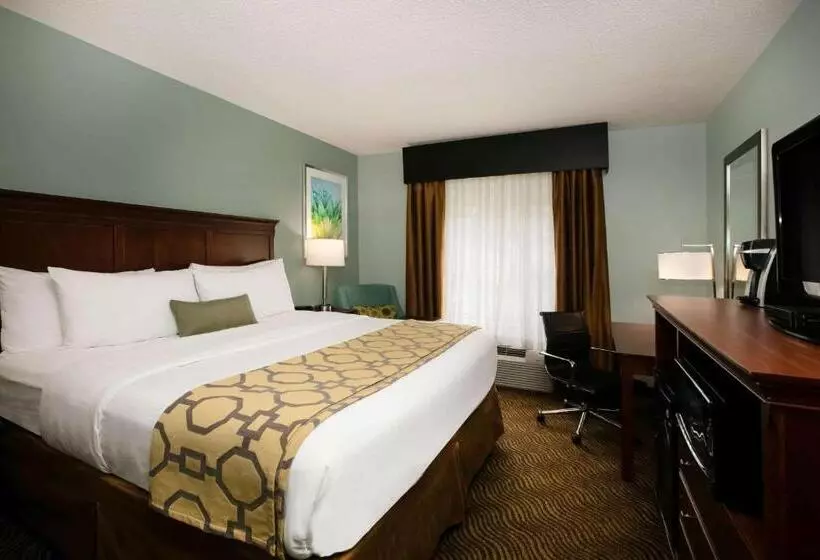 Отель Baymont Inn & Suites Braselton