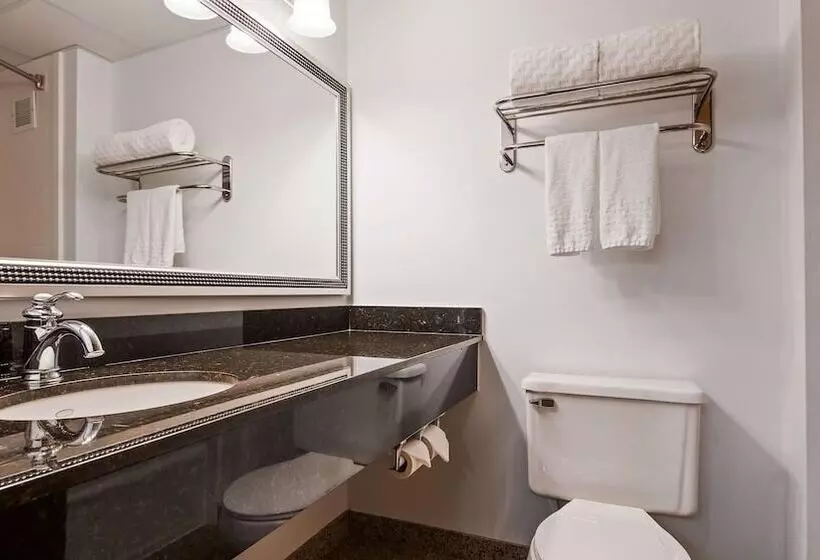 호텔 Best Western Gaylord