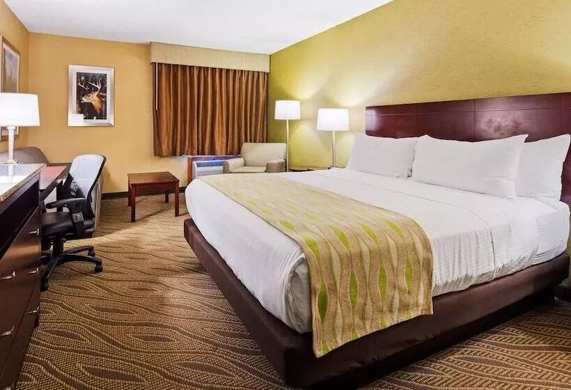 호텔 Best Western Gaylord