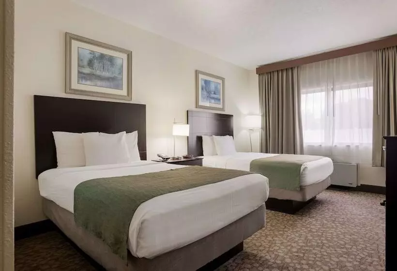 酒店 Best Western Kendallville Inn