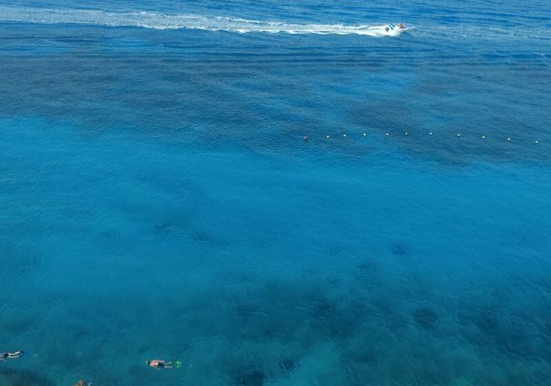 Coral Princess Hotel & Dive Resort