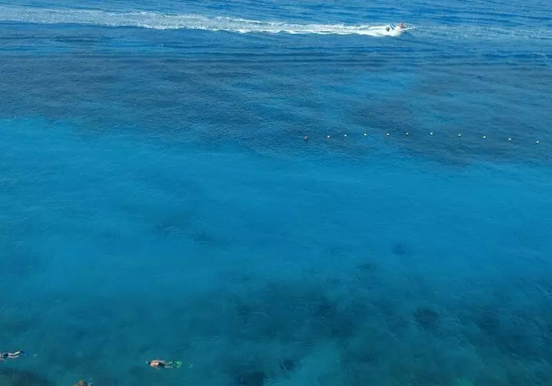 Coral Princess Hotel & Dive Resort