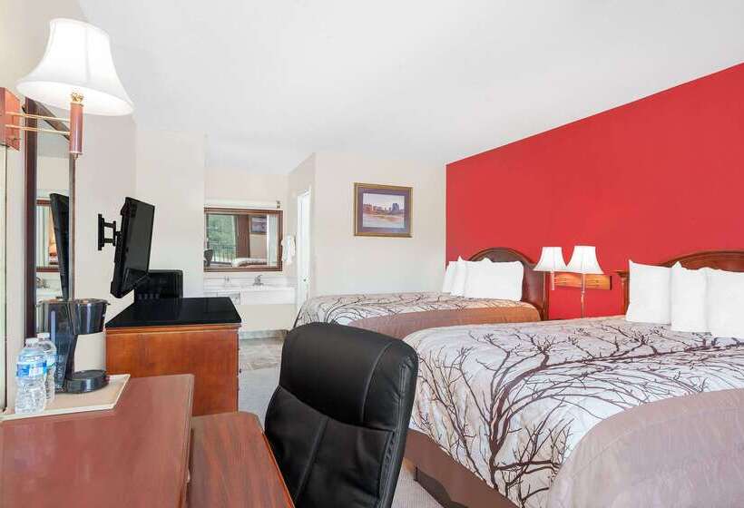 ホテル Days Inn By Wyndham Newton Ms/i 20