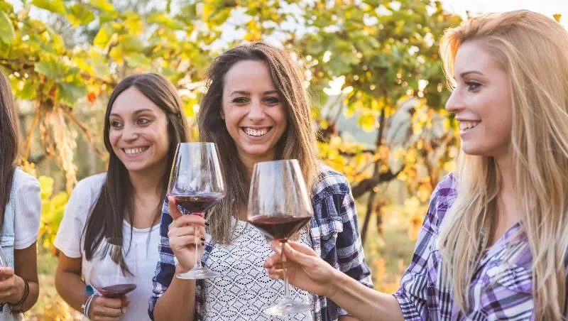 Magnuson Hotel Bradenton