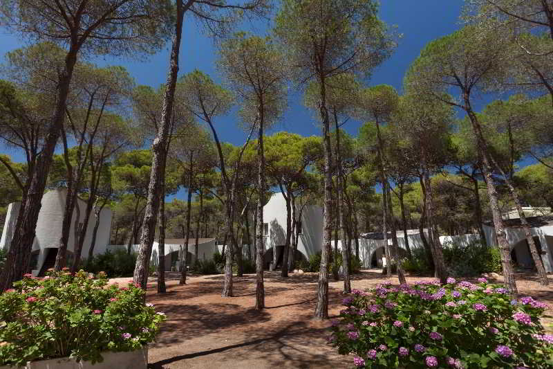 فندق Mare Pineta