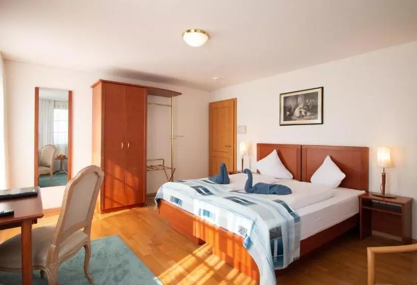 Отель Schloss Romanshorn