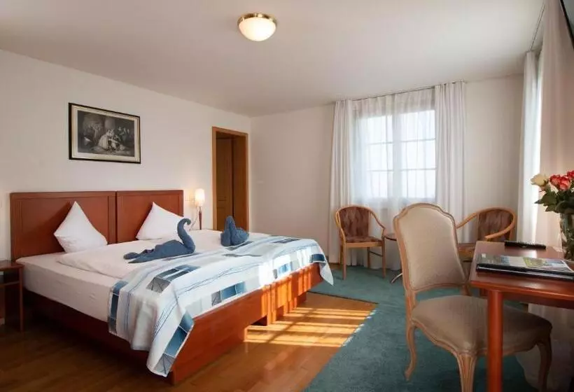 Отель Schloss Romanshorn