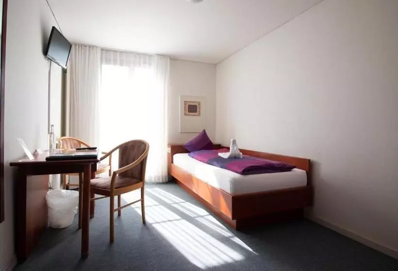 Отель Schloss Romanshorn