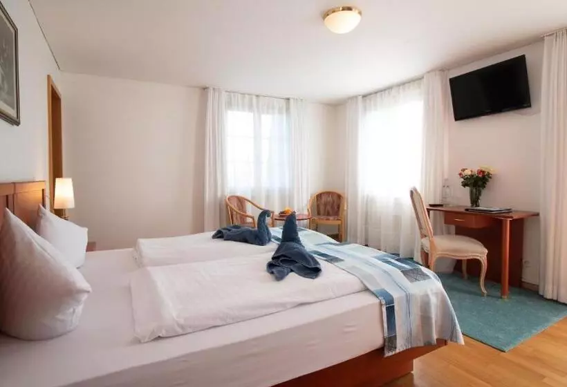 Отель Schloss Romanshorn