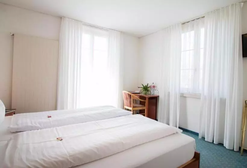 Отель Schloss Romanshorn