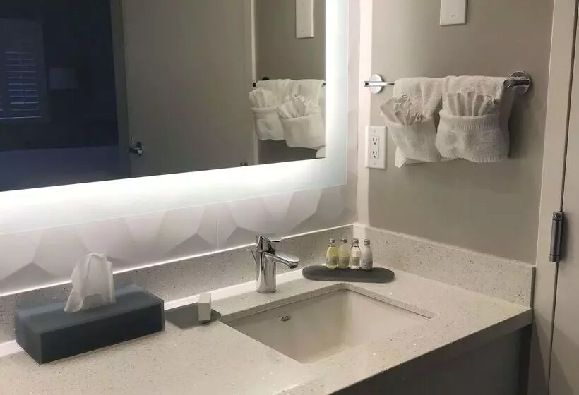 ホテル Surestay Plus By Best Western Santa Clara Silicon Valley