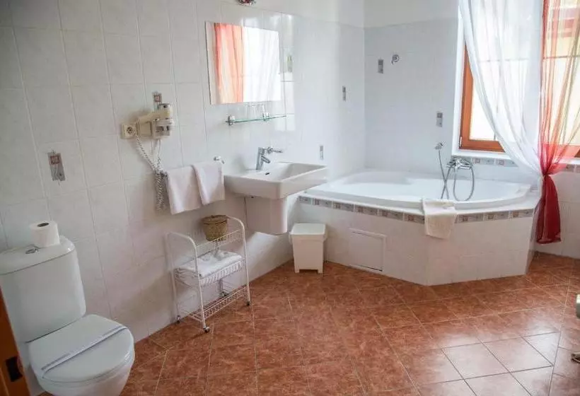 Отель Wellness  Vyhlidka