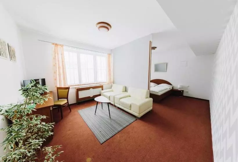 Отель Wellness  Vyhlidka