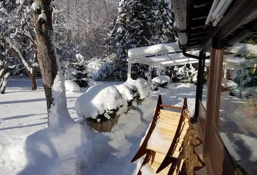 هتل Alpenhof Grainau