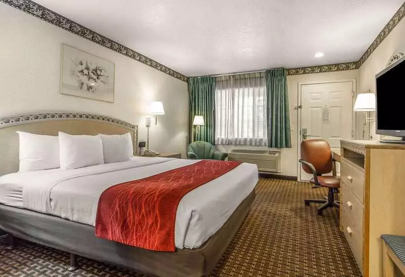 ホテル Comfort Inn Palo Alto
