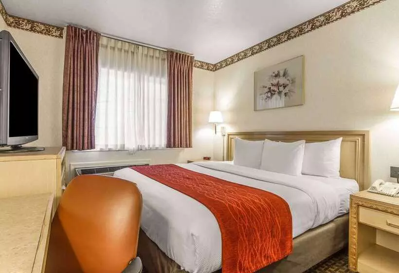 ホテル Comfort Inn Palo Alto