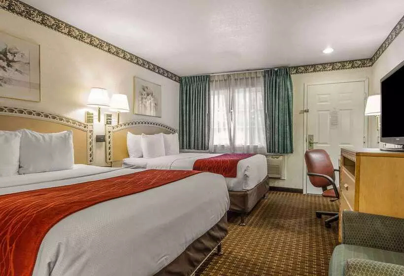 ホテル Comfort Inn Palo Alto