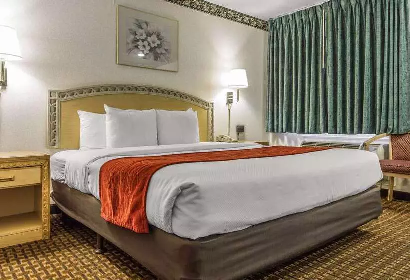 ホテル Comfort Inn Palo Alto