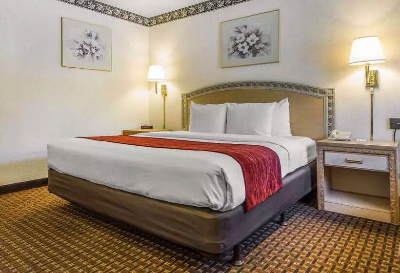 ホテル Comfort Inn Palo Alto