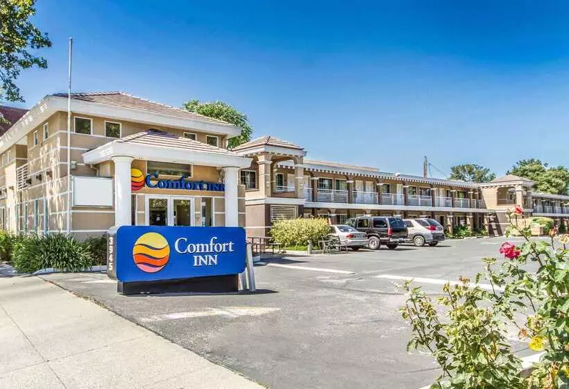 ホテル Comfort Inn Palo Alto