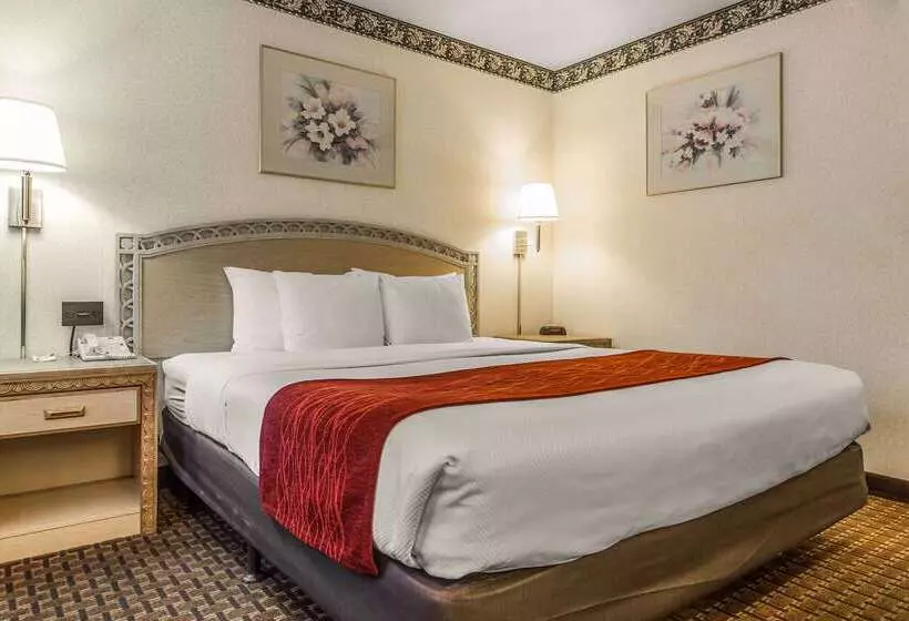 ホテル Comfort Inn Palo Alto