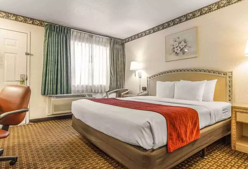 ホテル Comfort Inn Palo Alto