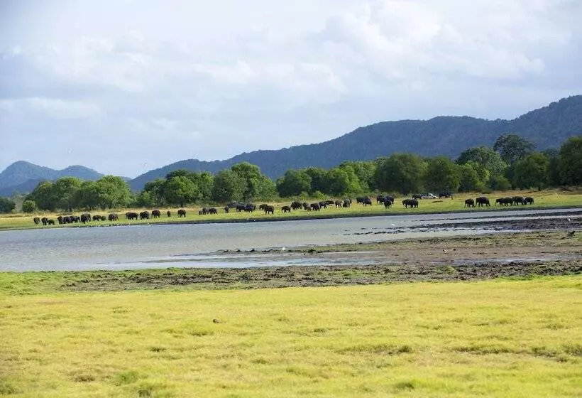 ホテル The Deer Park