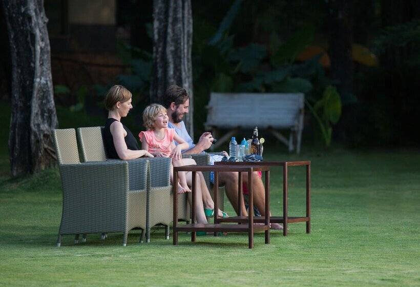 בית מלון כפרי The Deer Park