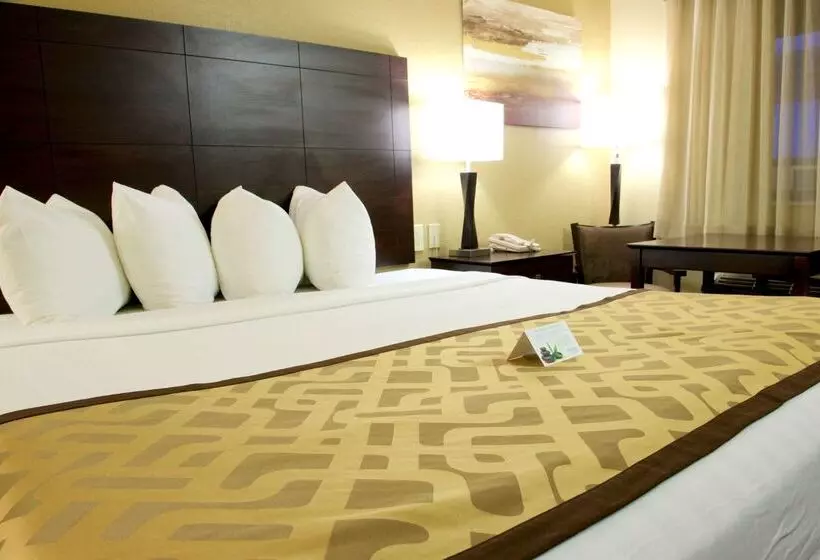 فندق Best Western Green Tree Inn