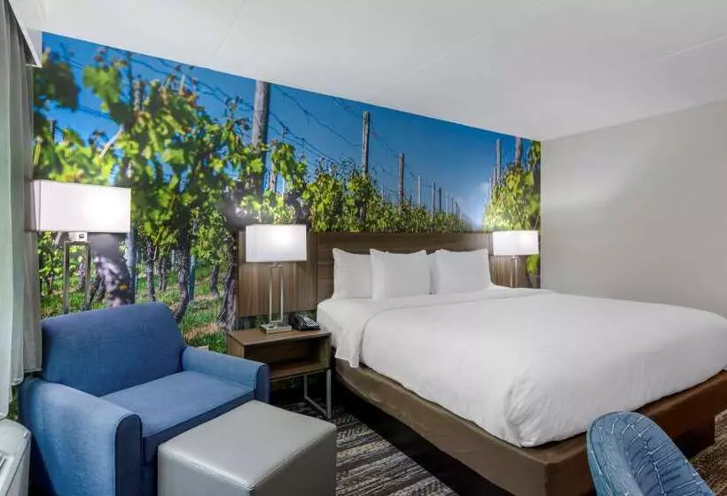 酒店 Clarion Pointe Charlottesville