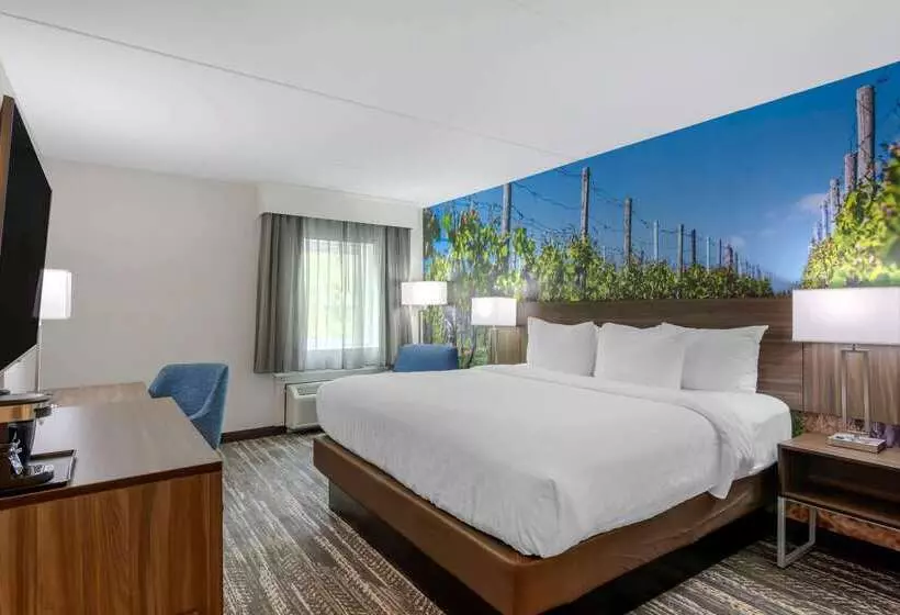 酒店 Clarion Pointe Charlottesville