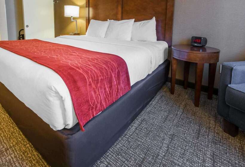 فندق Comfort Inn & Suites