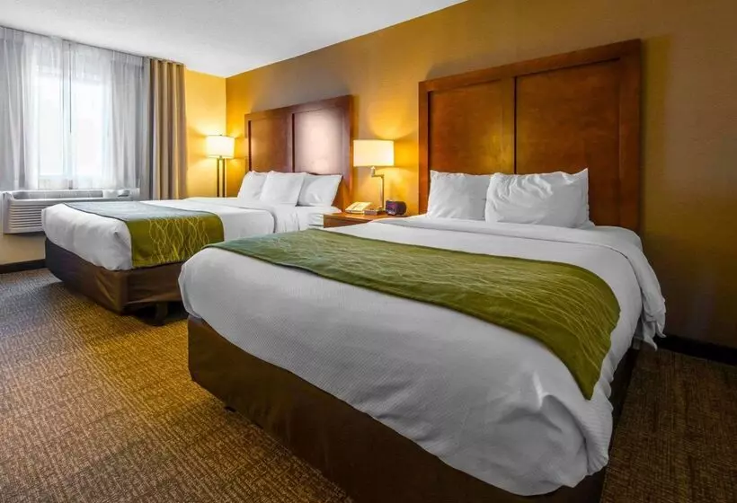 هتل Comfort Inn & Suites