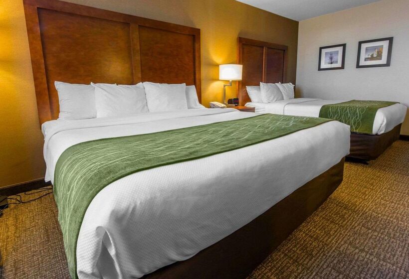 فندق Comfort Inn & Suites