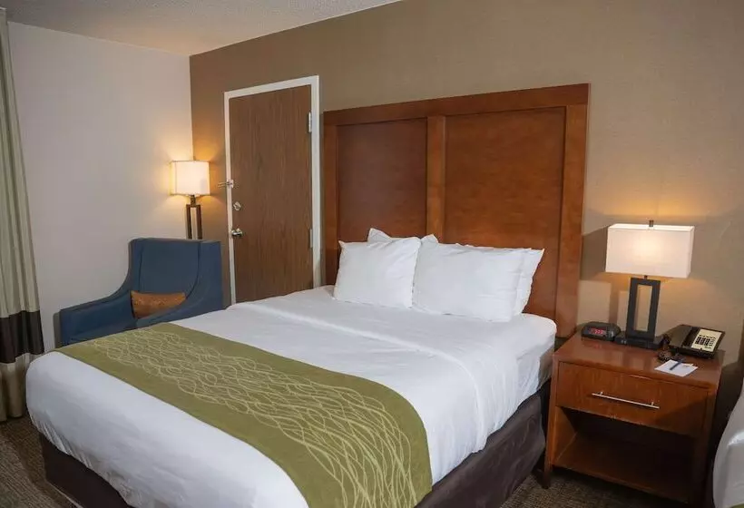 هتل Comfort Inn & Suites
