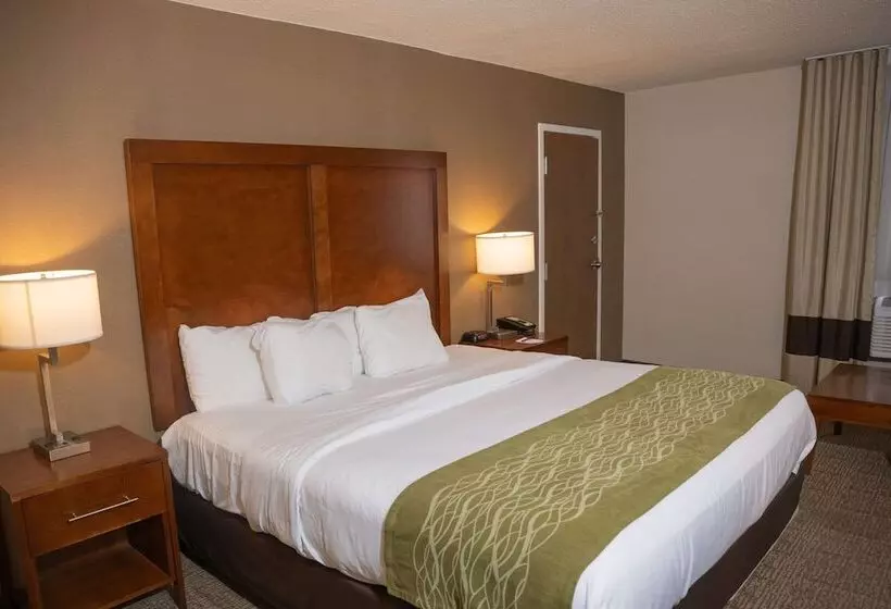 هتل Comfort Inn & Suites