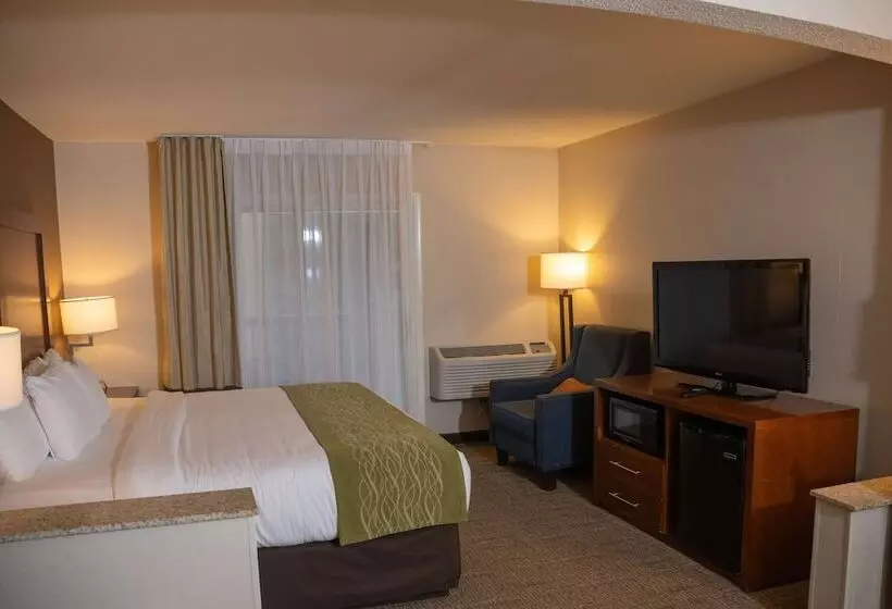 هتل Comfort Inn & Suites