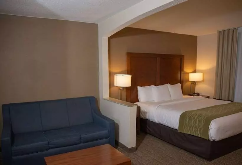 هتل Comfort Inn & Suites